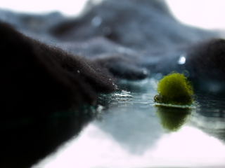 Illustration for article titled Behold Iceland's majestic landscapes recreated in wool